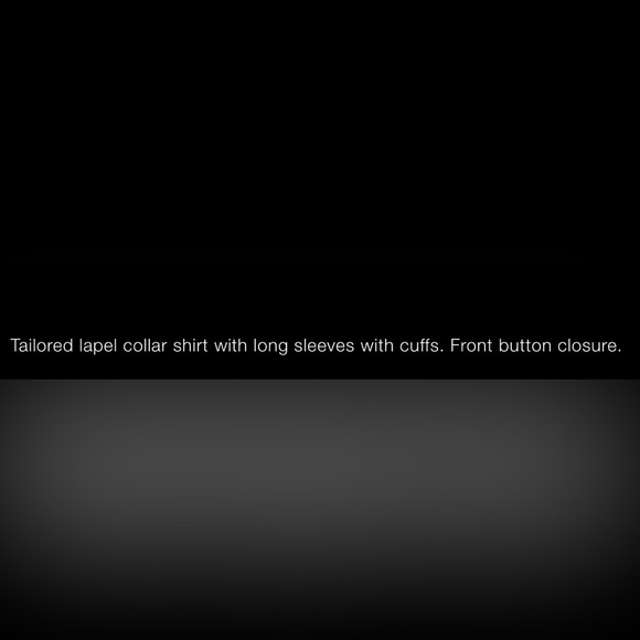 NWT Zara Fitted Satin Effect Shirt - Picture 5 of 5